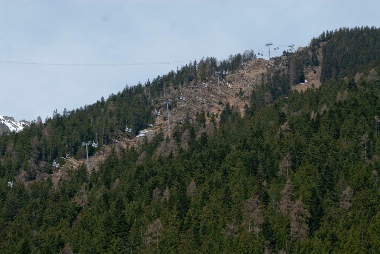 Front Ski Slope Chamonix Apartment Exteriör bild
